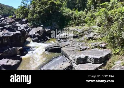 Flowing river cascading over rocks in a lush green forest environment Stock Video Footage - Alamy