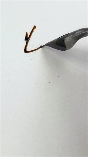 189K views · 7.7K reactions | FOLLOW FOR MORE WORK IN PROCESS! .#mixedmediaartist #drawingsketch #masterclass #sketchdaily #california #inkonpaper #madrid #print #torino #milan #architect #california #vancouver #creativity #mixedmediaartwork #drawing | Ramiro Clemente Ilustrador | Facebook