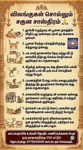 விலங்குகள் சொல்லும் சகுன சாஸ்திரம் | எந்த விலங்கை பார்த்தால் என்ன பலன்? | Raj Database #astrology