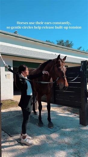 Relieving Tension in Horses Using Ear Movements