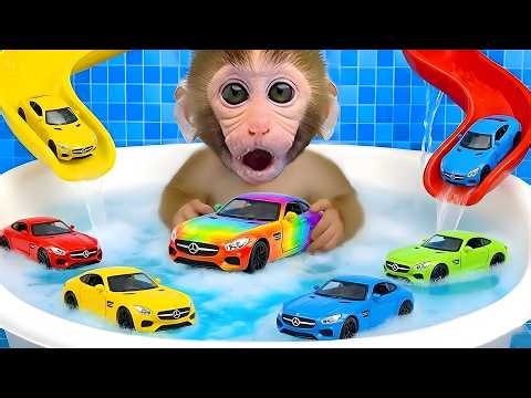 Bon Bon the monkey is going for a swim in the pool and buying colorful Hot Wheels cars.