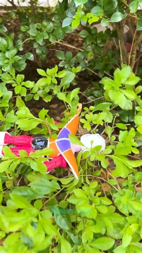 ChiChi's Heart Always Turns Toward God And Protects Goku Wherever He Goes | Gaming Alien