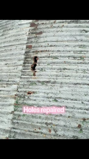 #munster #farmlife #fyp #graco #tractor #tipperary #tipperary #farmer #horses #cattle #factory #horses #cattle #kildare #munster