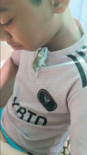 my pets #shorts short feed