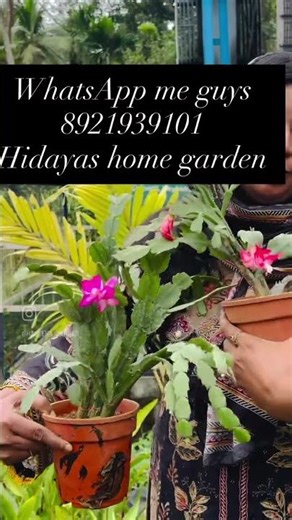 #8921939101 #lifeisbutadream #gardendesign #garden #whowillbemylifepartnerta #gardenlandscaping