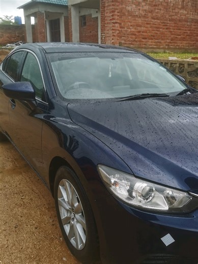 Understanding Paint Protection for Your Vehicle