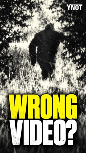 I Thought This Bigfoot Footage Was Nothing… Then I Saw It Stabilized