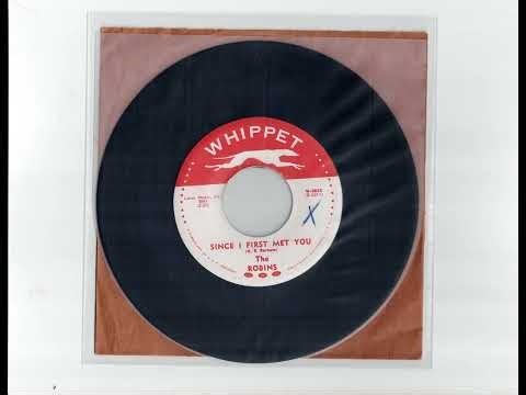 THE ROBINS - SINCE I FIRST MET YOU