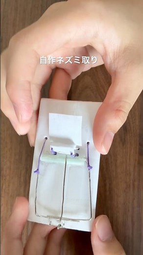 ネズミ取り作ったﾖｰ