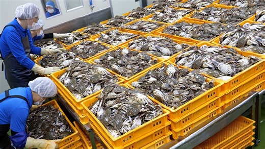 6.8K views · 100 reactions | Amazing! $2.2M USD Sold Every Year?! The best Soy Sauce Marinated Crab factory - Korean Street Food  | Food Processing | Facebook