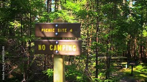 Sign wooden signpost for picnic table bench site and no camping at Gaudineer knob mountain of Monongahela national forest, West Virginia rack focus