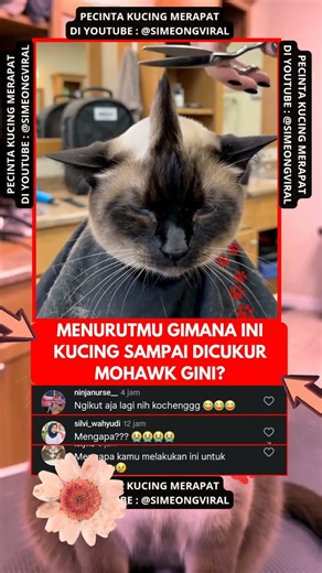 jadi anak punk mohawk