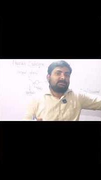 HUMAN REPRODUCTION CLASS 10TH CBSE