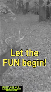 3.2K views · 40 reactions | First Doe in Estrus! #deer #deerhunting #rut2024 | KOAM Outdoors LLC | Facebook
