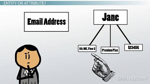 What is an Entity in a Database?