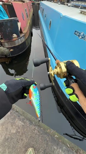 Gicu🎣 (@gicu9090)’s videos with Jaws Theme - Jaws