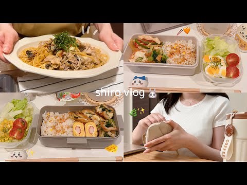 【食費月一万円】一人暮らし社会人の節約を楽しむ自炊記録と家計管理🍳✨ / 毎日お弁当🍙