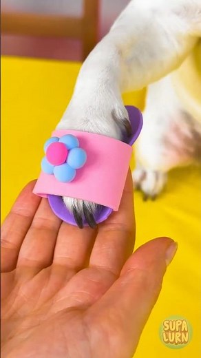Puppy Fashion DIY ✨ Make Your Own Doggy Shoes! 🐾
