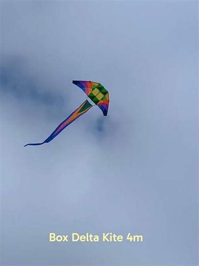 BIG Double Conyne Delta Kite #kiteflying #shorts #bigkite