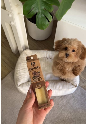 Mordedores Naturales para Cachorros: ¡Duraderos y Saludables!