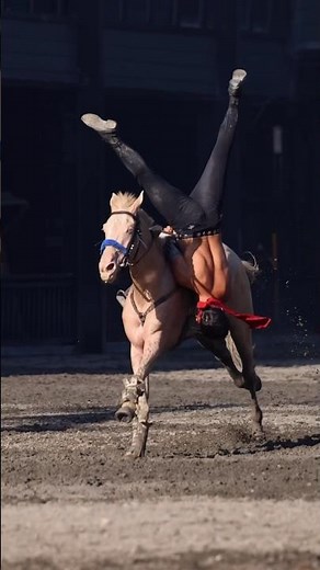 Unparalleled Akhal-Teke Horse stunt performance💪💪✌️ #horsevideo #horse #horseridind #horseridding
