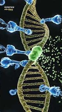 The Molecular Editor : The Tiny Machine That Saves Your Life Every Second