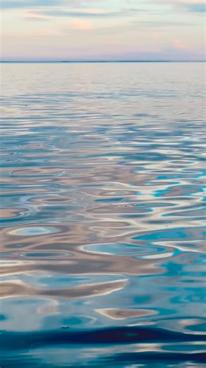 From yesterday’s kayak on the Potomac. Mesmerizing waters and waves. | Michael Shank