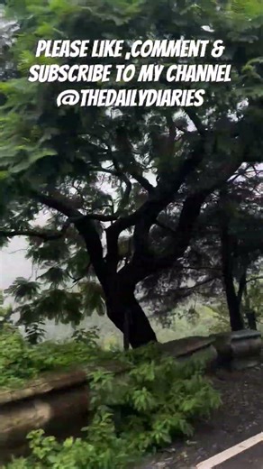 Barish, pahad aur bike — bas aur kya chahiye? #shorts #mussoorie #uttarakhand