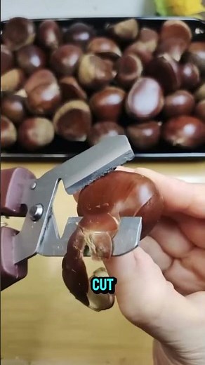 🟢Cracking chestnuts shouldn’t be this easy. (# 2912) Effortless Snap Chestnut Cutter