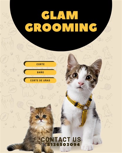 Our cat grooming service includes: 🐾 Gentle bath with hypoallergenic products 🐾 Haircut or coat maintenance 🐾 Professional de-matting (removing knots without hurting the hair or skin) 🐾 Nail trim and ear cleaning 🐾 Final brushing to leave the coat silky and shiny 🌟 Benefits of cat grooming: 💛 Prevents tangles and hairballs 💛 Reduces shedding and improves skin health 💛 Avoids discomfort, itching, and irritation 💛 Promotes a clean, soft, and healthy appearance 💛 Helps detect skin issues