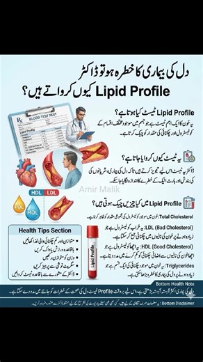 Understanding the Importance of Lipid Profiles for Heart Health