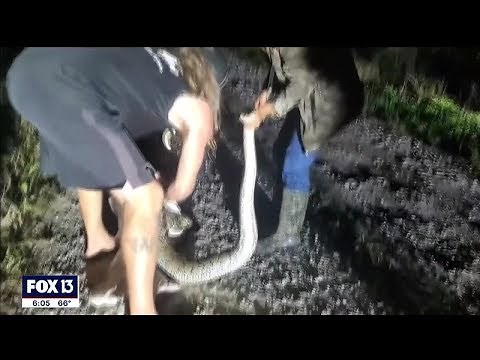 After Python Bowl success, 'Wildman' Dusty Crum stresses importance of python hunt