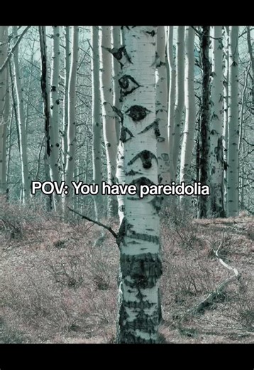 Experiencing Pareidolia: A Unique POV