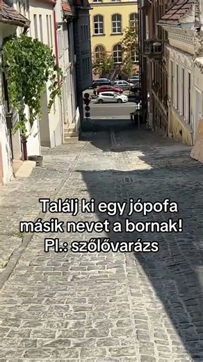 Bor #játék #fejtörő #agytorna #szójáték #youtubeshorts