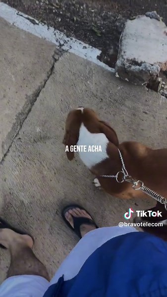 Os vídeos de Bravo Telecom (@bravotelecom) com som original - Bravo Telecom