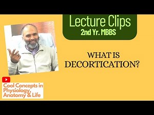 What is DECORTICATION | Neuroanatomy & Physiology | Upper Motor Neuron Lesion | 2nd Year MBBS