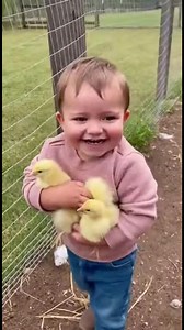 Chickens Chase Toddler in Delightful Scene Chickens Chase Toddler in Delightful Scene Generated using Kling AI . . . (For entertainment purposes only. Consult professionals if guidance on activities is presented. No brand affiliation is implied if any are shown. If inspired by true events, creative adaptations may be included. Content may include public footage.) | Fabiosa Digest