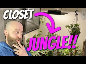 How to Make a Closet Jungle | Closet Indoor Plant Grow Space