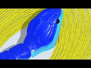 Snake Clash! .io - MAX LEVEL! Epic Snake Clash.io Gameplay!