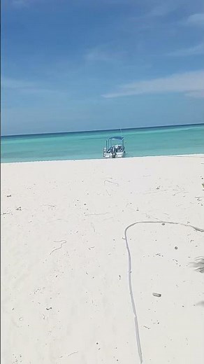 AMANPULO RESORT | PAMALICAN ISLAND | CUYO, PALAWAN, PH #ladybelleadventures #travel #youtube #shorts