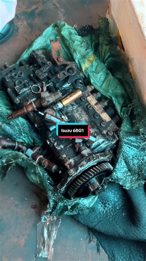 Isuzu 6BG1 Engine Overview and Maintenance Tips