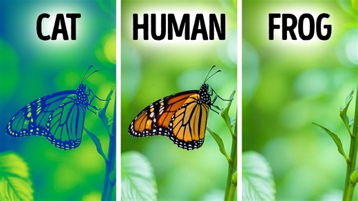 50+ Fascinating Animal Facts to Share and Wow Others