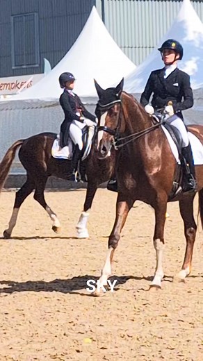 Züchter Sandra Neff Update 2 Sky ist der "Beste Dressurhengst Deutschlands" & Bundeschampion 2025 | Sandra Neff Grede