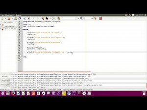 área e perímetro do triângulo, programa pascal