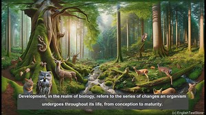 Development in biology