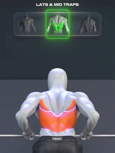🔥 Barbell Row Variations for a Stronger Back Barbell row variations are key for building a strong, balanced back. Small changes in grip, elbow path, and torso angle allow you to target the lats and mid traps, upper back, as well as the upper traps and lateral delts. Focus on controlled reps, a stable hinge position, and a solid squeeze at the top to keep tension where it belongs. 🎯 Target muscles: Lats & Mid Traps • Upper Back • Upper Traps & Lateral Delts 👉 Suggested training volume: 3–4 set