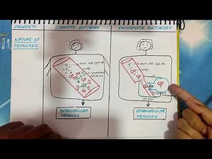Coombs test explained | Antiglobulin Test | AHG reagent | Principle | Signficance |