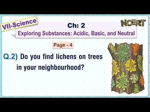 Ch:02 - Pg:04 - Q.2) Do you find lichens on trees in your neighbourhood?