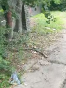 18K views · 139 reactions | HIGHSPEED CHASE JUST ENDED ON ILLINOIS AVE AND CURTIS LANE AFTER A TRUCK CRASHED INTO A POWER POLE KNOCKING POWER IN THE AREA OUT 4:22PM - 5 SPD UNITS ON CURTIS LANE AND WALTER - MAJOR ACCIDENT Shreveport Police has suspect in custody. | Louisiana Breaking News | Facebook