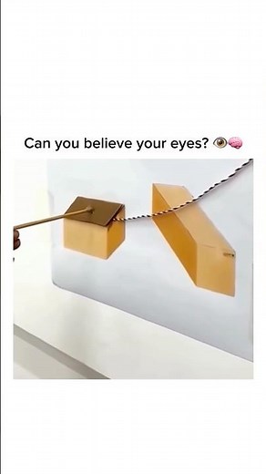 Your brain is lying to you! 🧠 Mind-blowing optical illusions📝